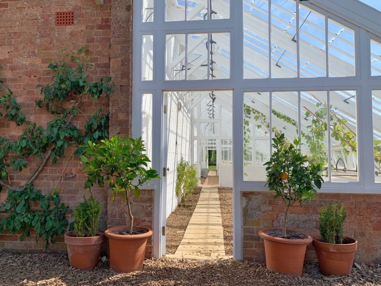 Read more about the article Modern & Small Lean-to Conservatory Ideas UK