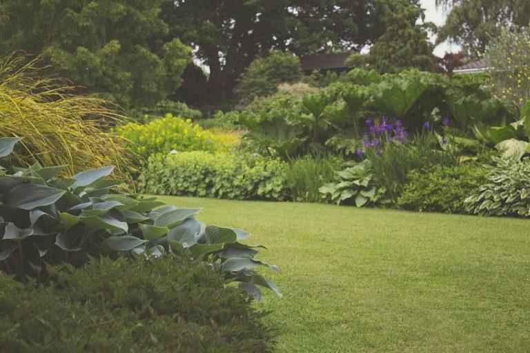 Read more about the article Signs You Need Professional Landscape Gardeners in 2024